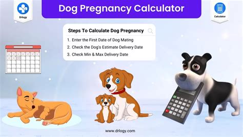 dog due date calculator|Dog Pregnancy Calculator – Calculate Your Dog’s。